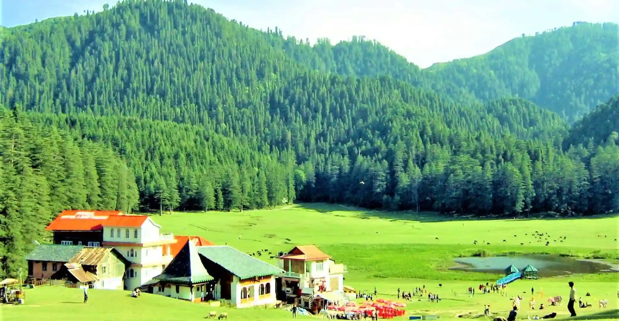 Photograph by User:SriniG
